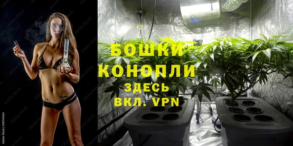 гашик Аркадак